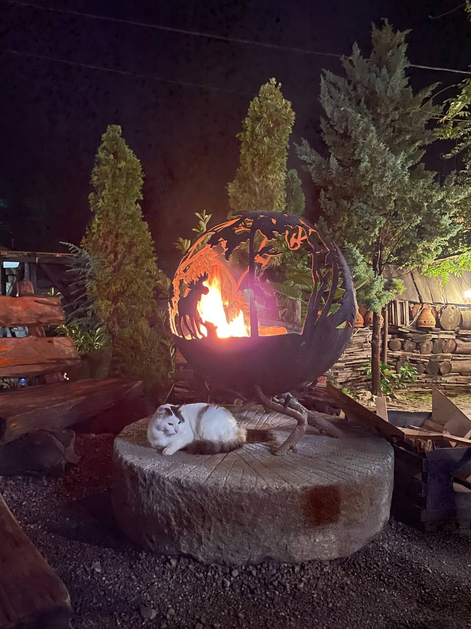 Кот греется