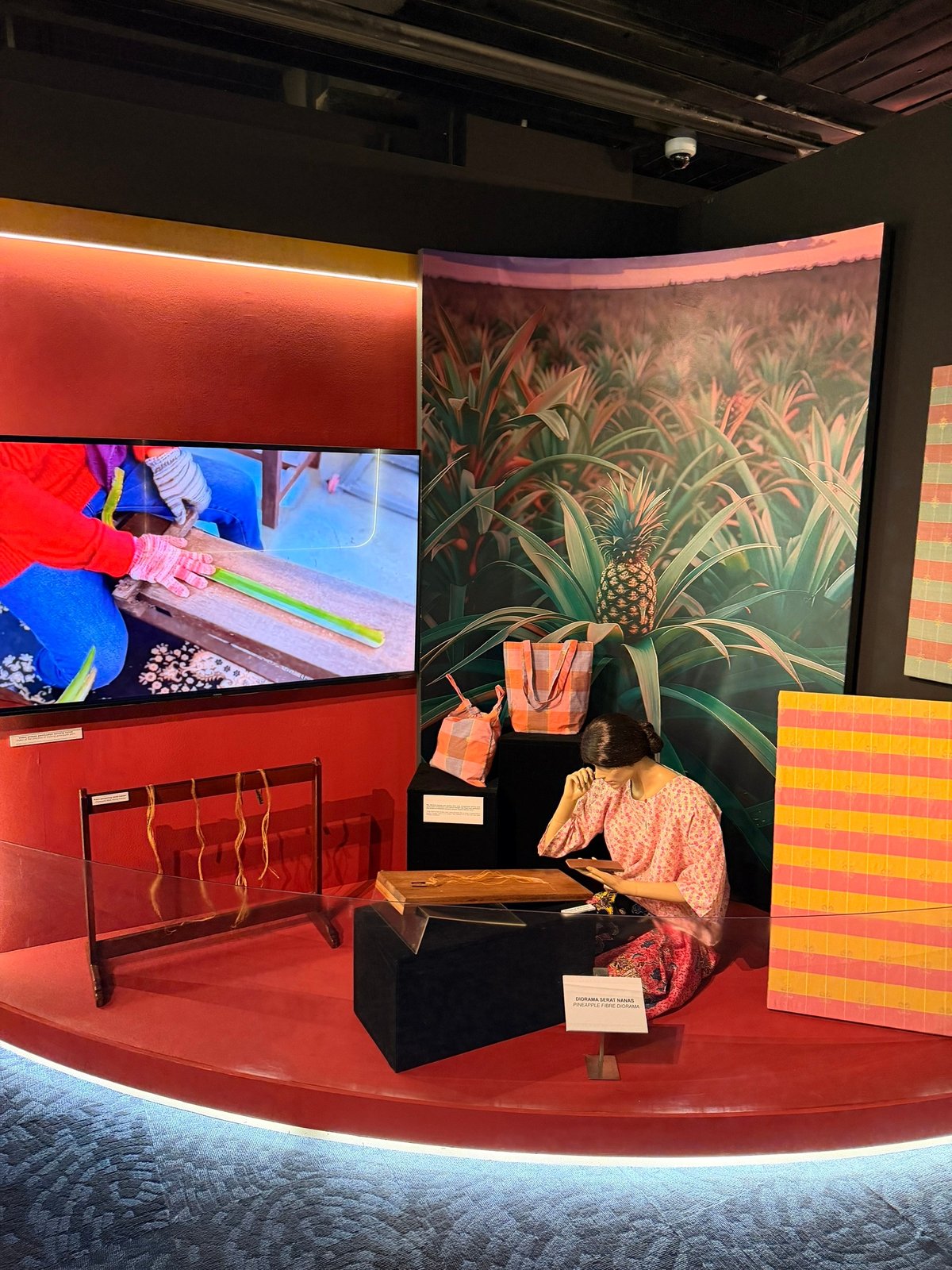 Из листьев ананаса делают грубоватую ткань