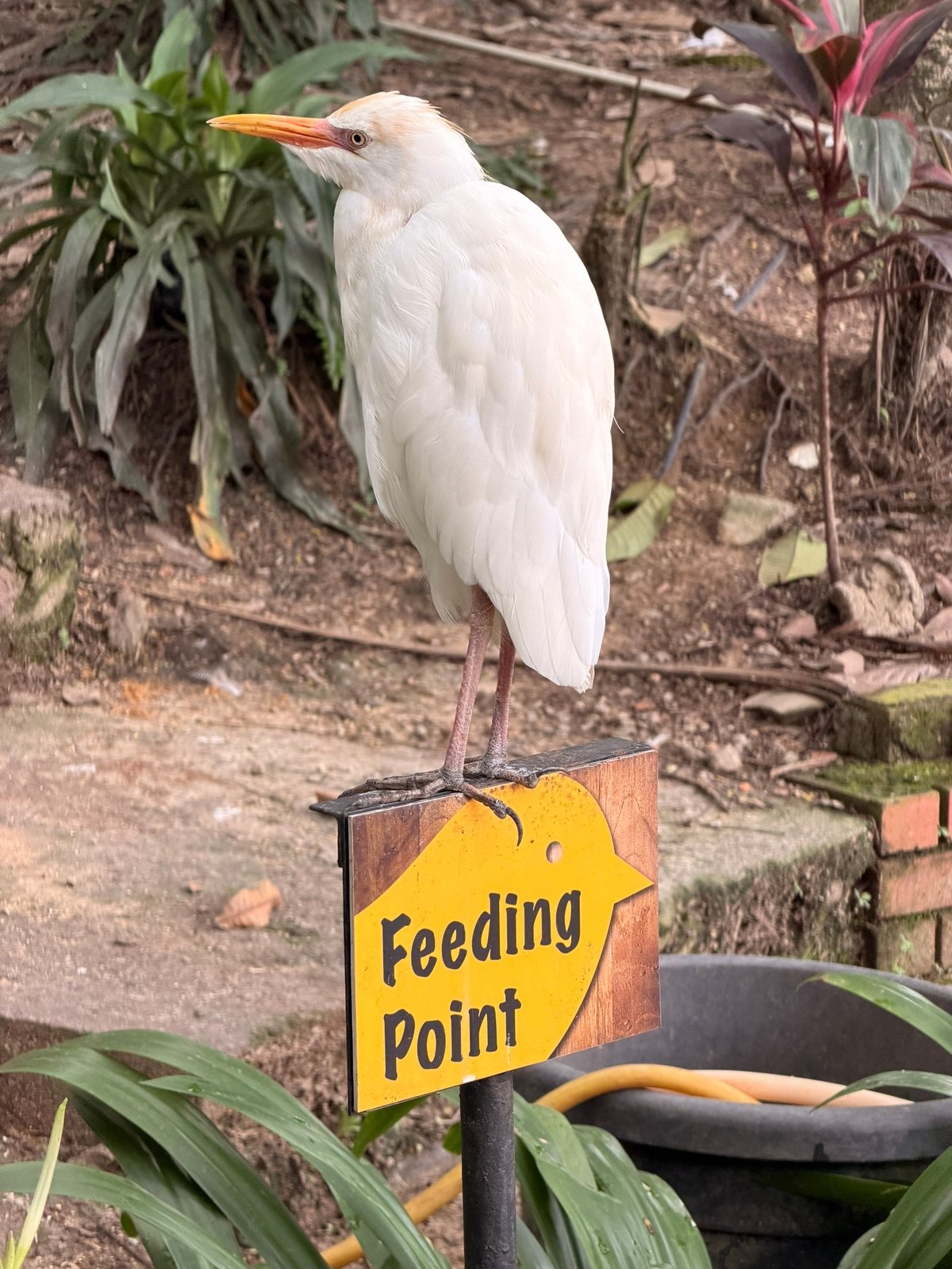 На респауне