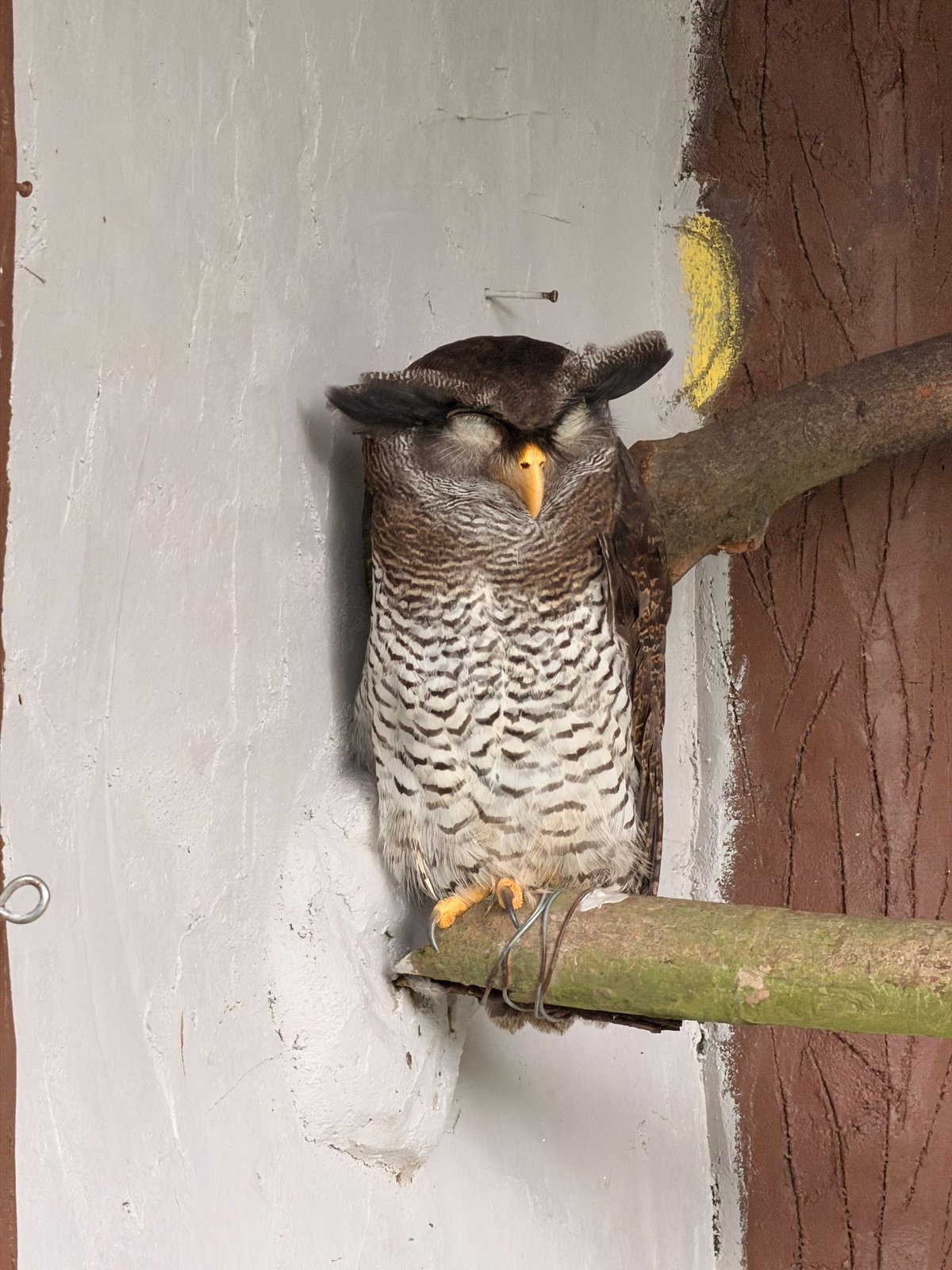 Как студент в маршрутке к первой паре
