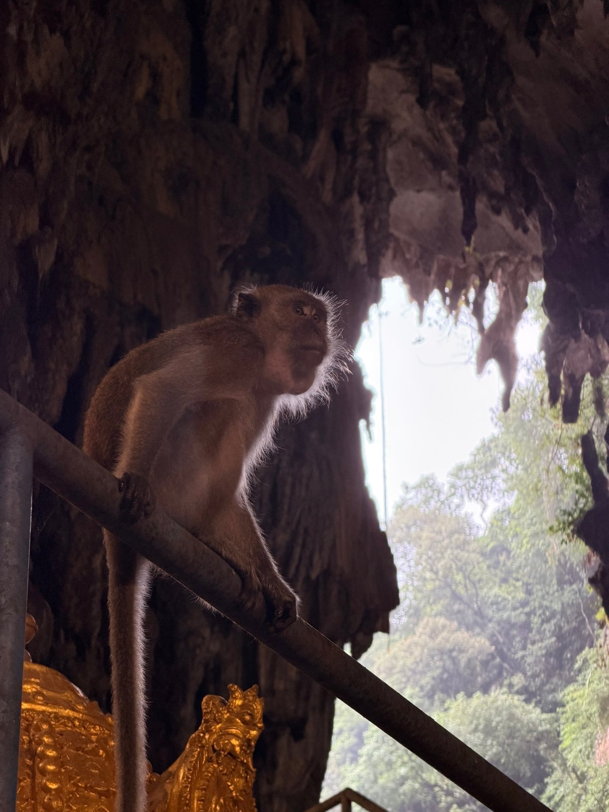 Подбородок