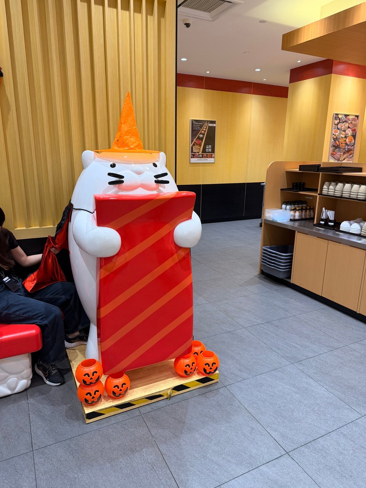 Кота в суширо наряжают