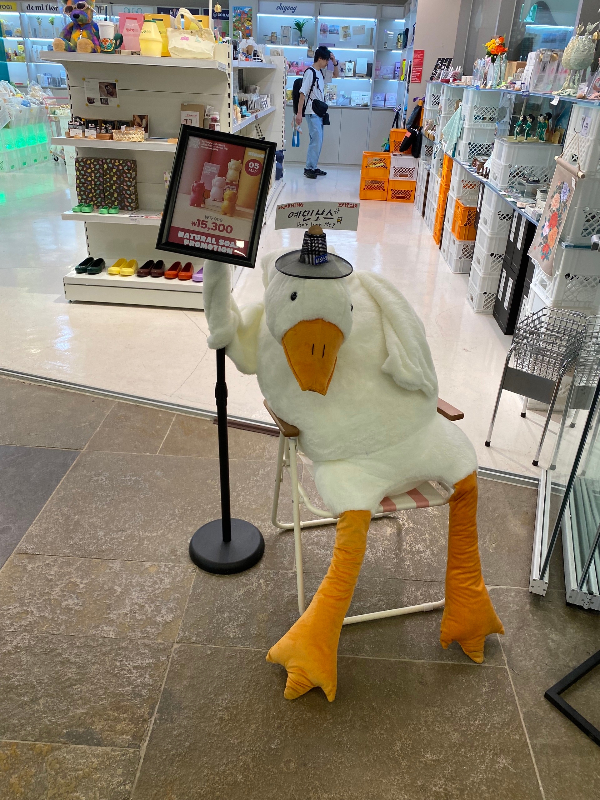 Гусь, охраняет вход в магаз