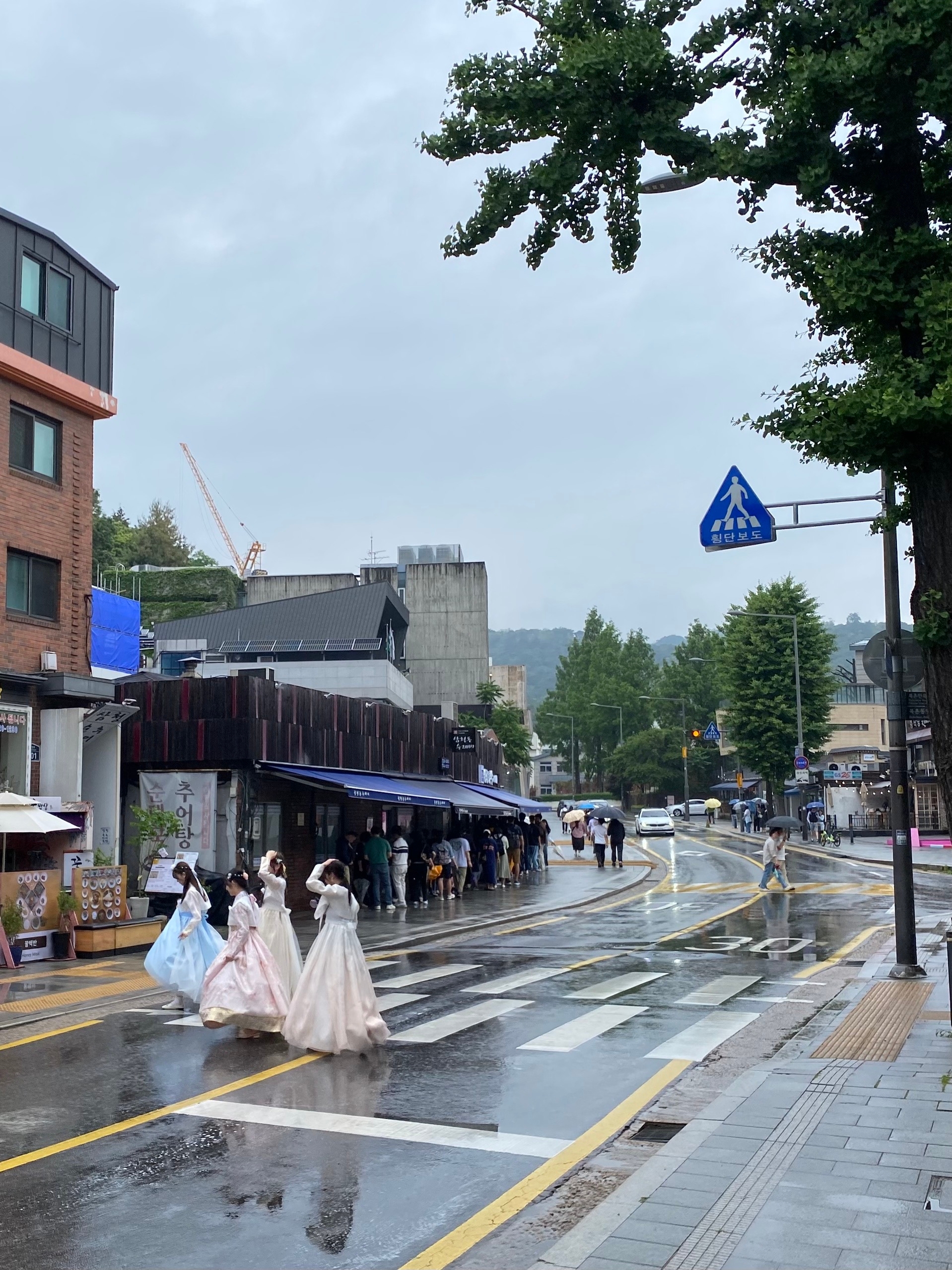 Наряженые девочки дорогу переходят