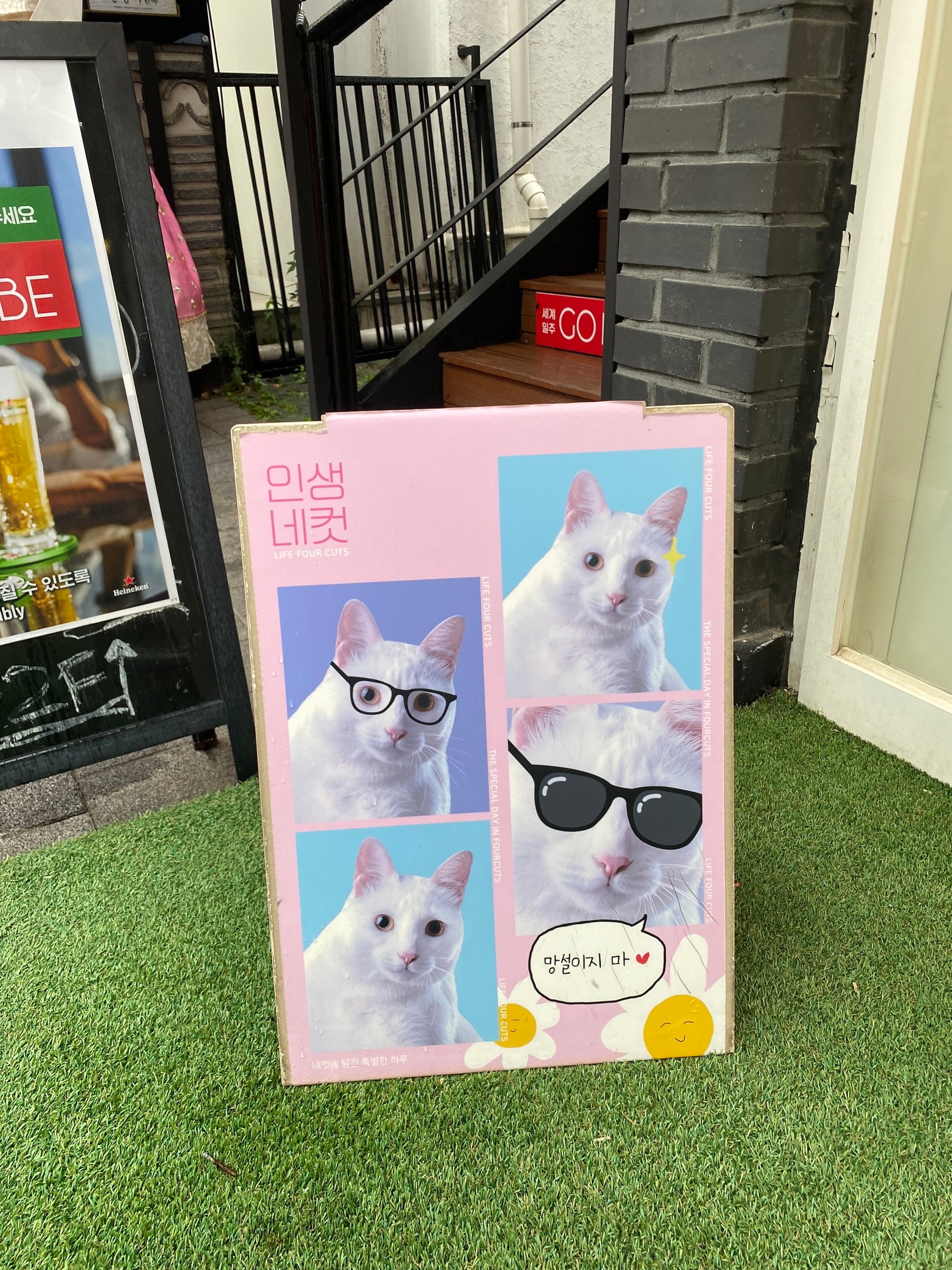 Реклама магазина оправ