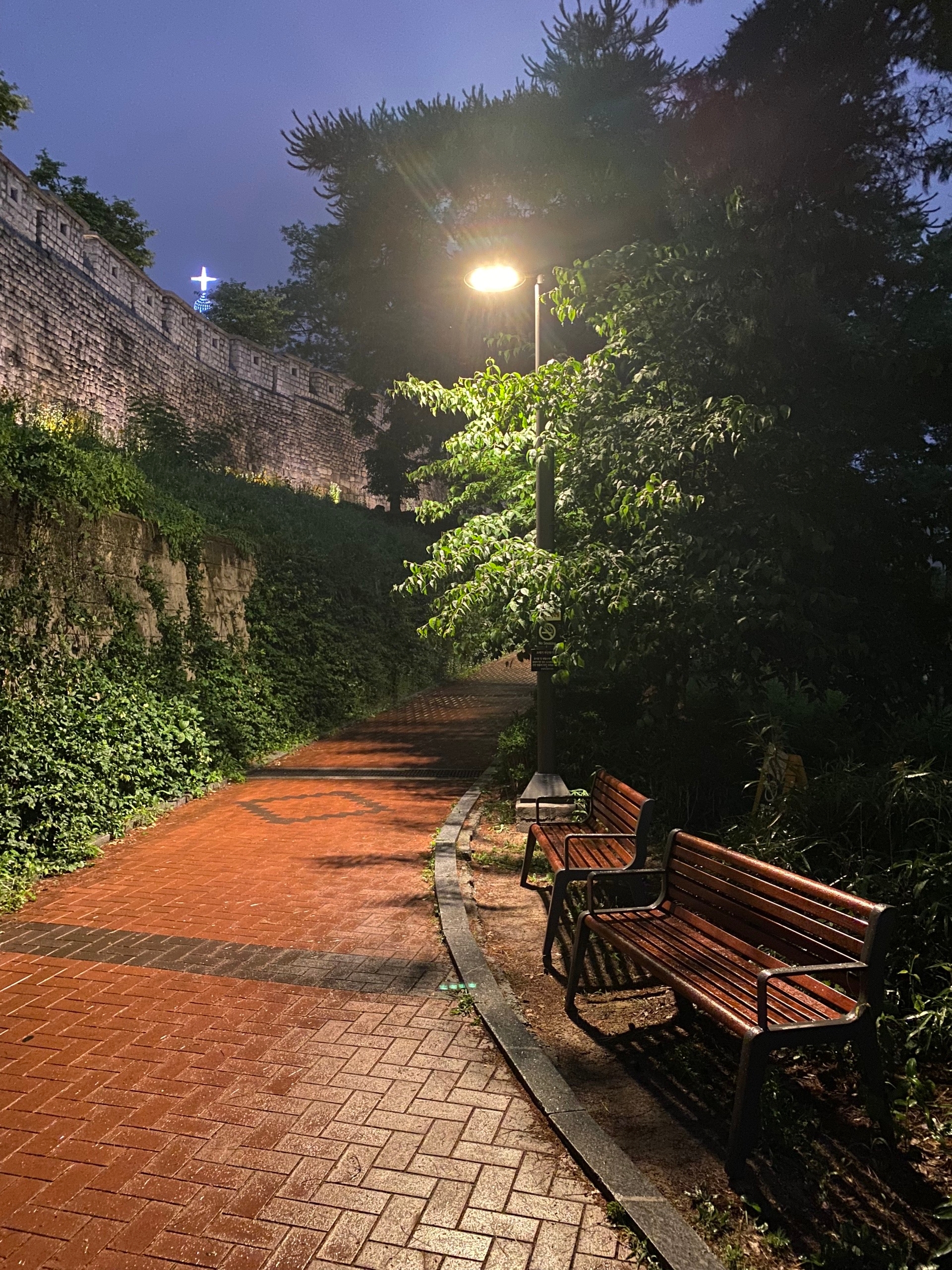 Узкий парк на перепаде высоты