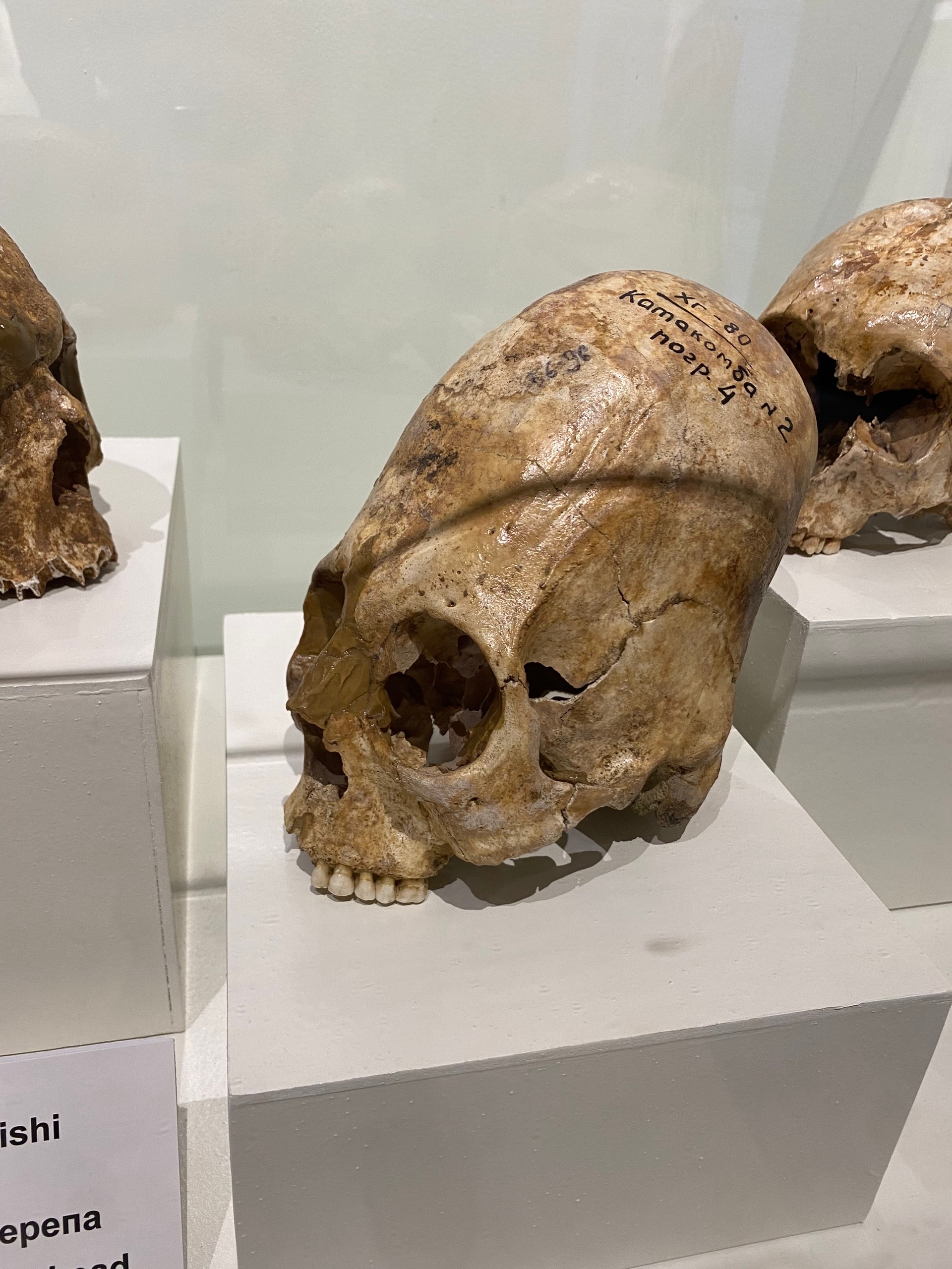 Яйцеголовые атаковали протоузбеков, но атака была отбита