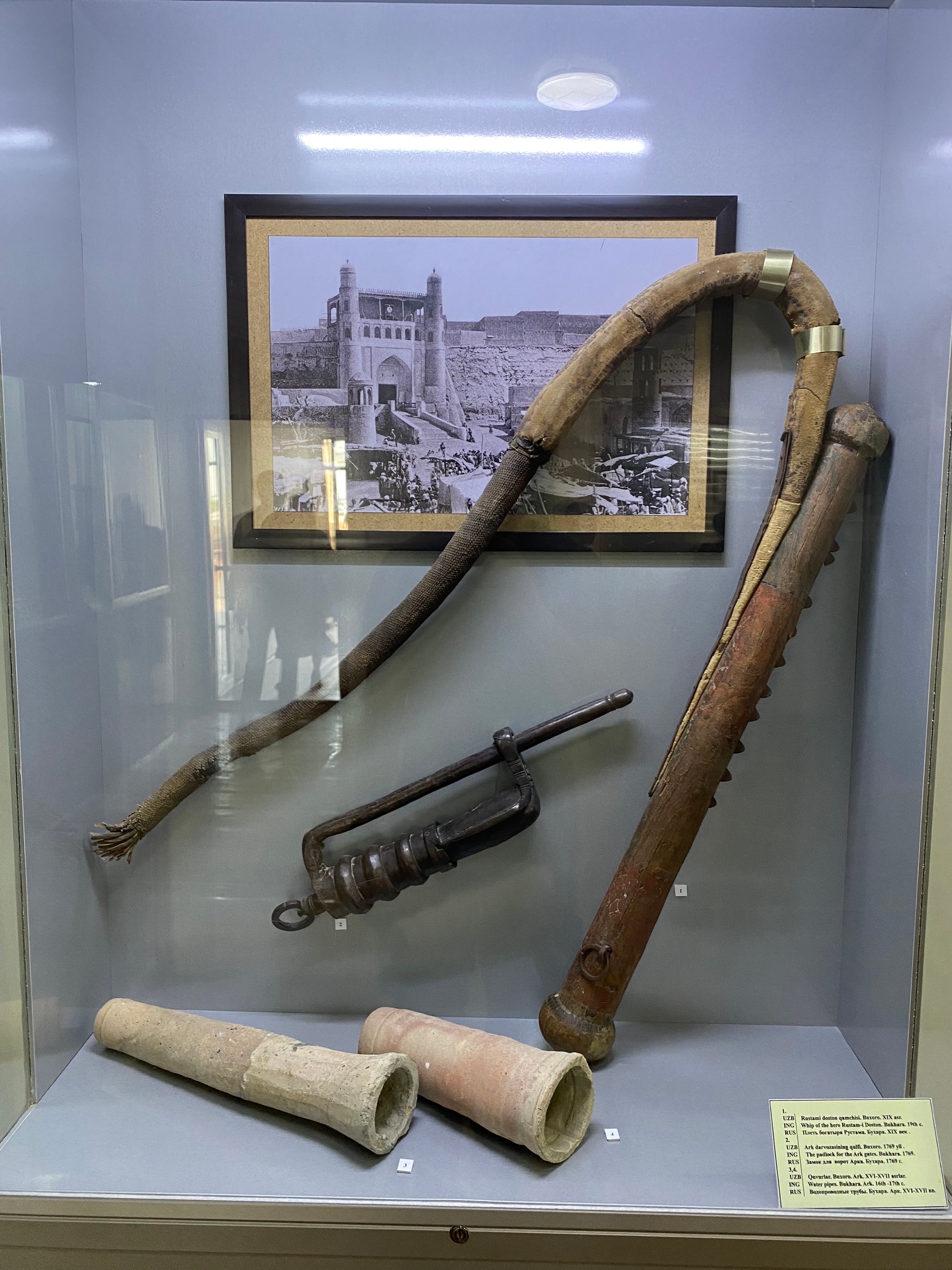 Вот этот хобот мамонта - плеть