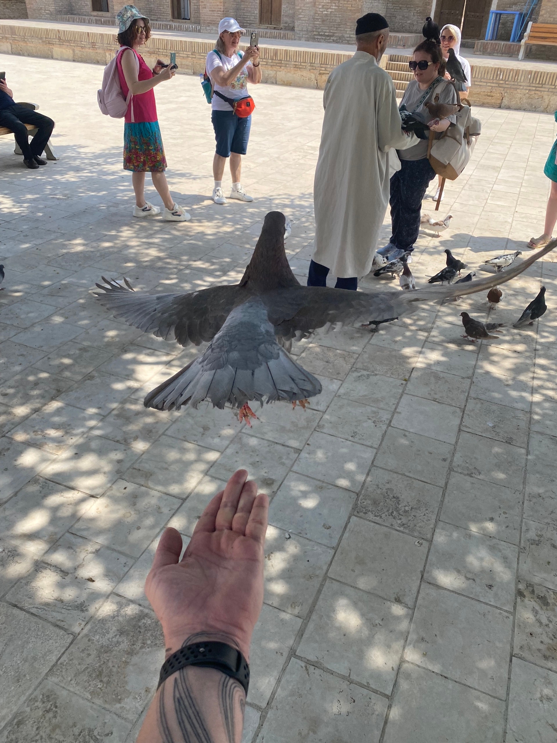 Мужик открыл необычный бизнес - сажает на туристов голубей а потом собирает с них монетки. Голуби специальные, дресированные