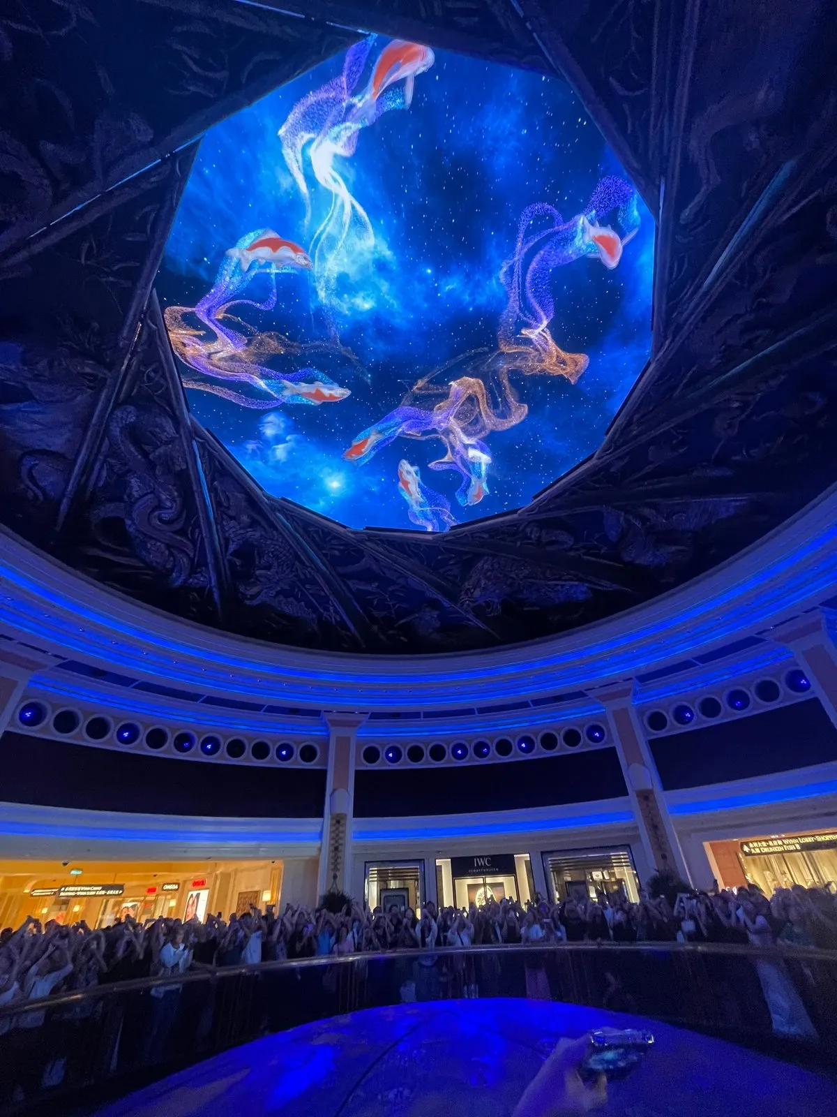 В потолке сначала колбасятся рыбы