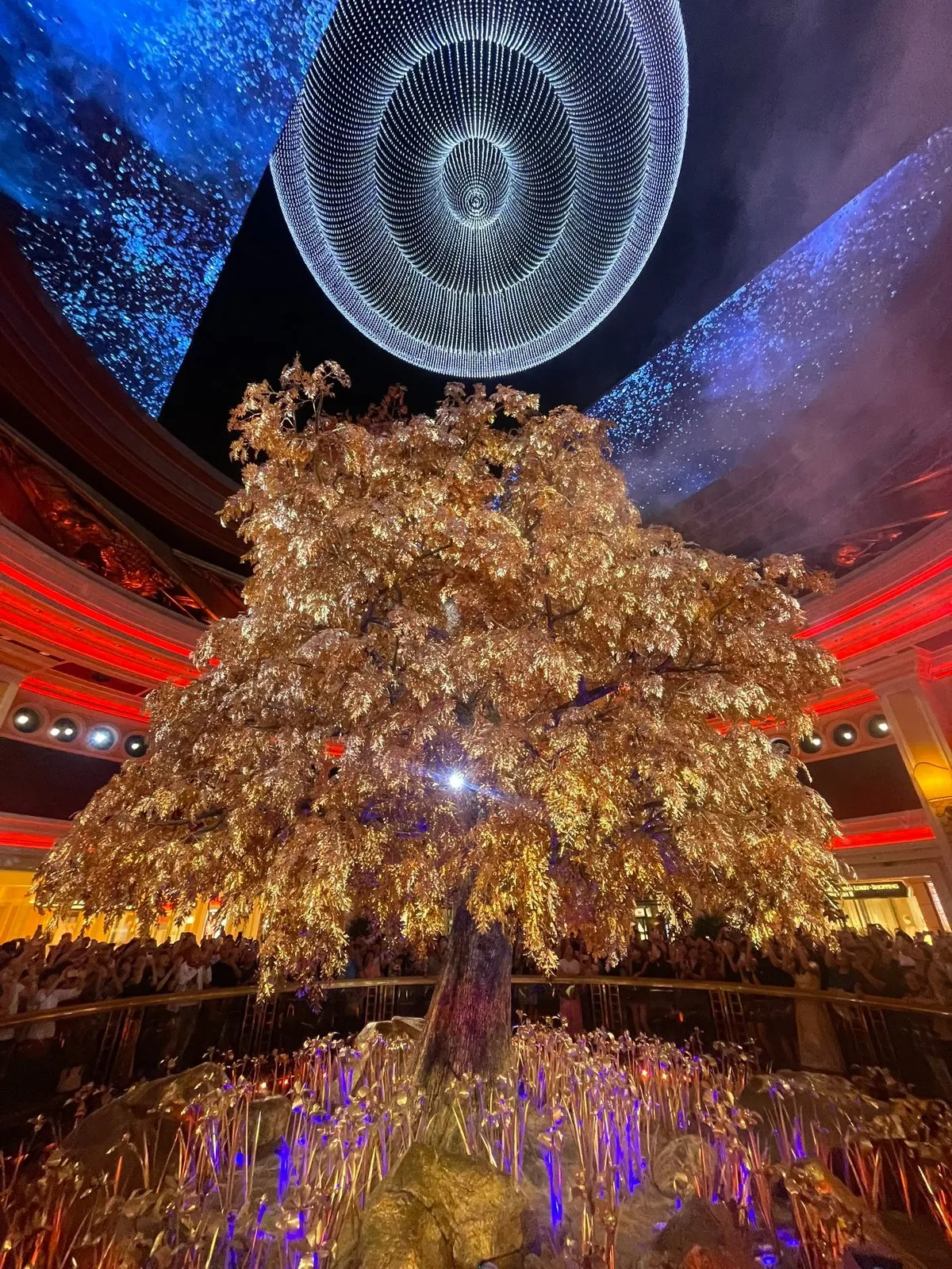 Потом из полы вылазит золотое дерево