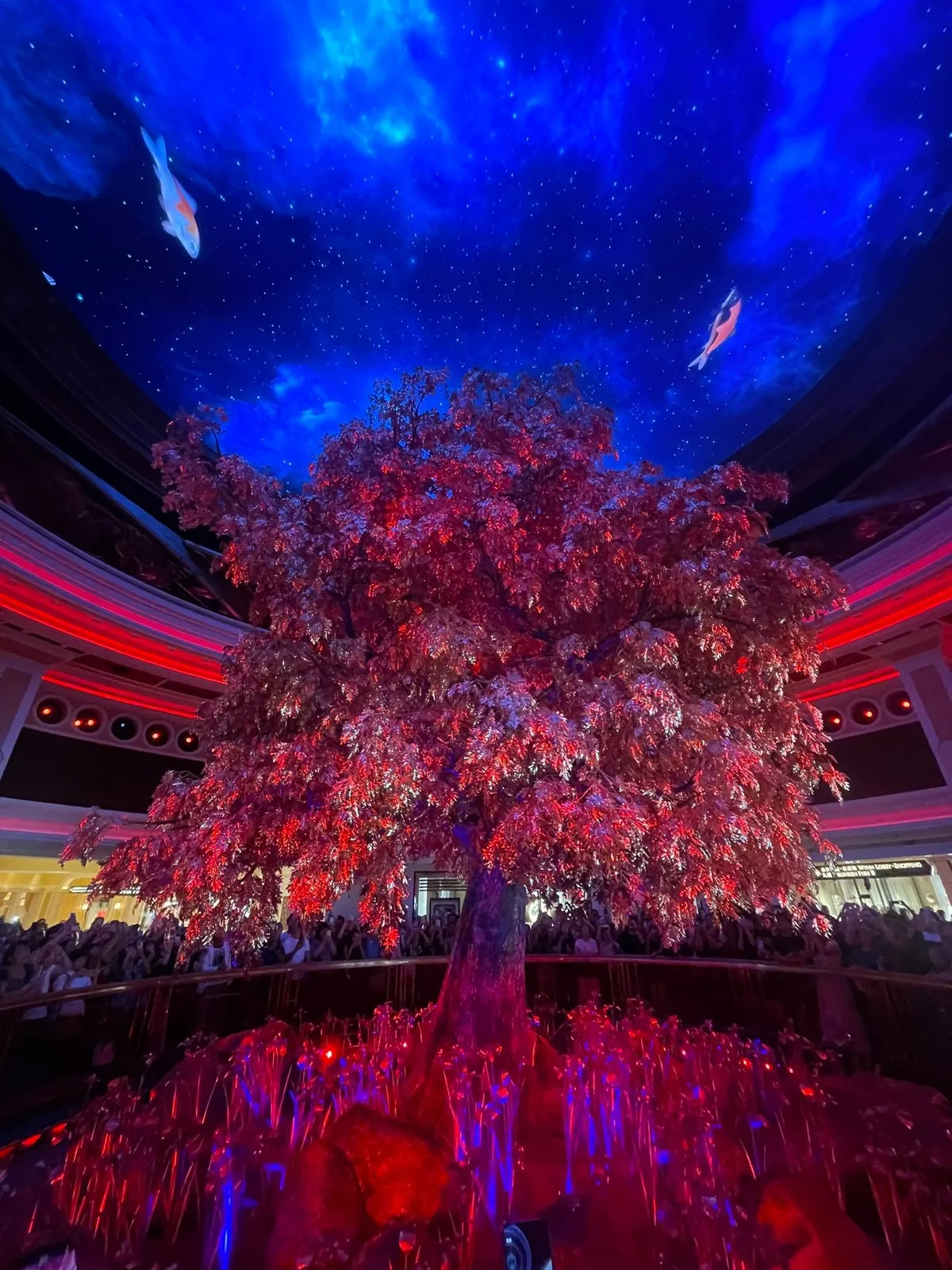 Потом оно крутится и разным его по-разному освещают