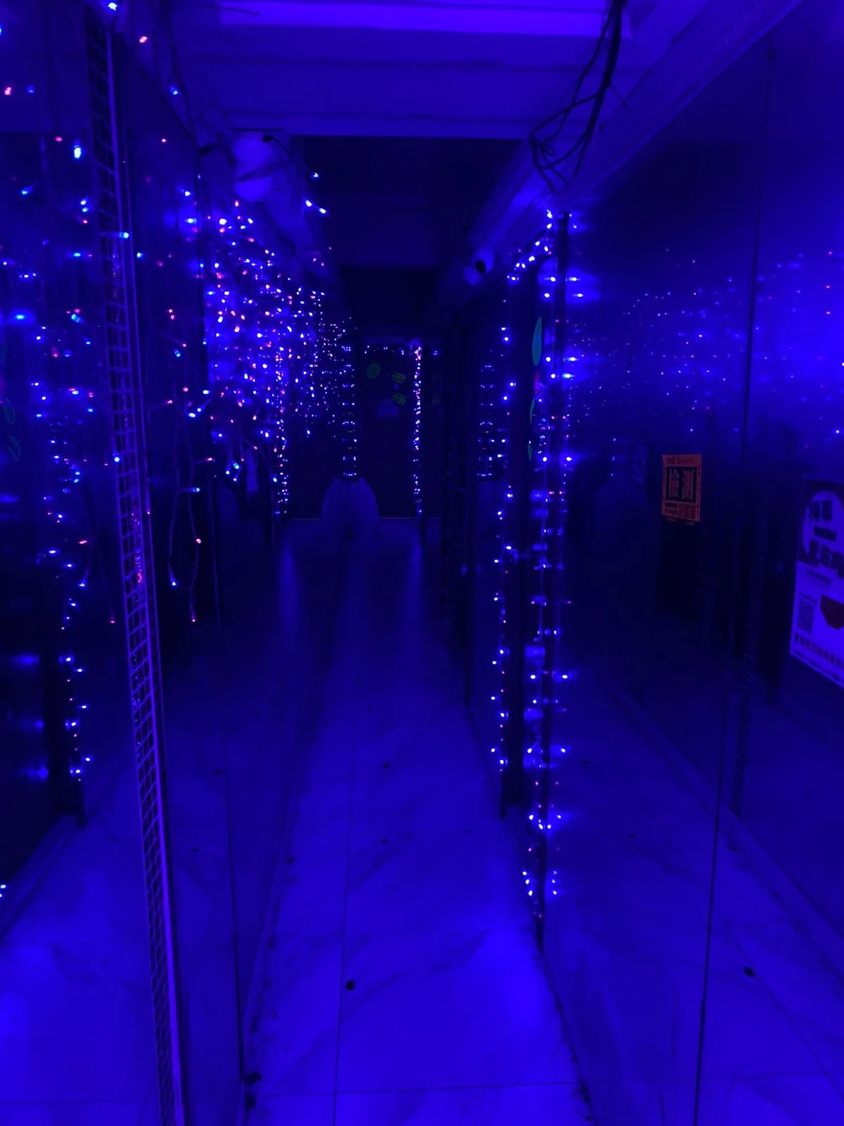 Коридоры тоже украшаются, везде понаставлены камеры