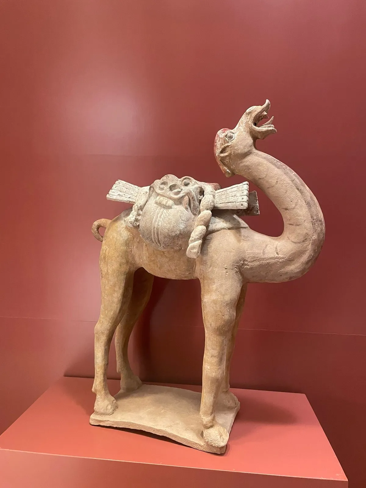 Верблюд кринжует